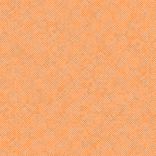 Whisper Weave (Basic) - per yard - Nancy Halvorsen for Benartex - Apricot - 13610-34-RebsFabStash