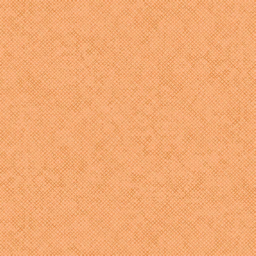 Whisper Weave (Basic) - per yard - Nancy Halvorsen for Benartex - Apricot - 13610-34-RebsFabStash