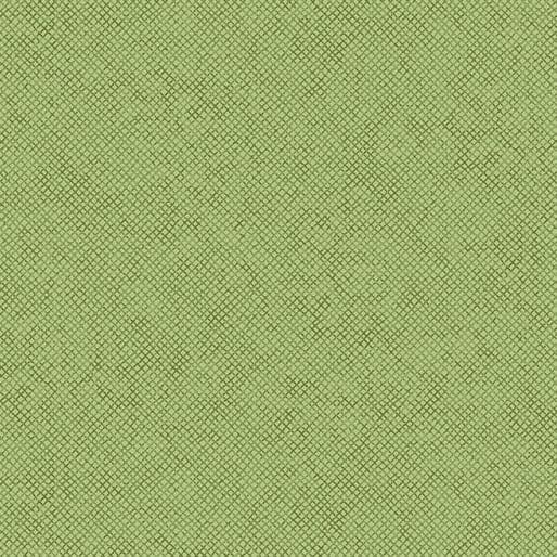 Whisper Weave (Basic) - per yard - Nancy Halvorsen for Benartex - Brick - 13610-10