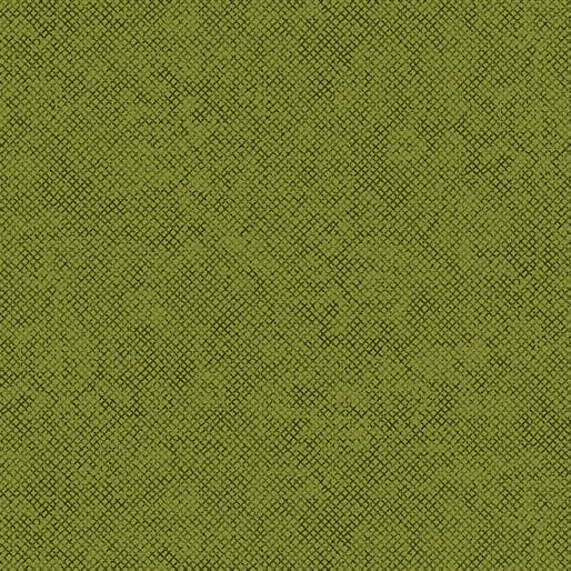 Whisper Weave Too (Basic) - per yard - Nancy Halvorsen for Benartex - Pistachio - 13610-39