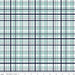 It's a Boy Plaid - per yard - by Echo Park for Riley Blake Designs - C13253-Aqua-RebsFabStash