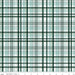 It's a Boy Plaid - per yard - by Echo Park for Riley Blake Designs - C13253-Hunter-RebsFabStash