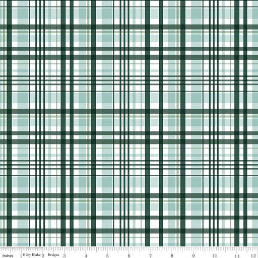 It's a Boy Plaid - per yard - by Echo Park for Riley Blake Designs - C13253-Hunter-RebsFabStash