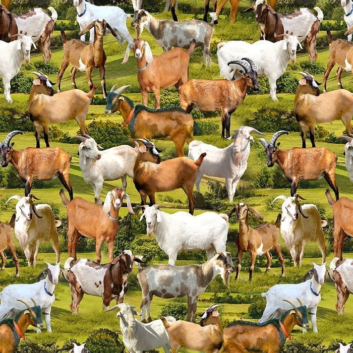 Goats - Per Yard - by Timeless Treasures - FARM - CD3078 - GREEN-RebsFabstash