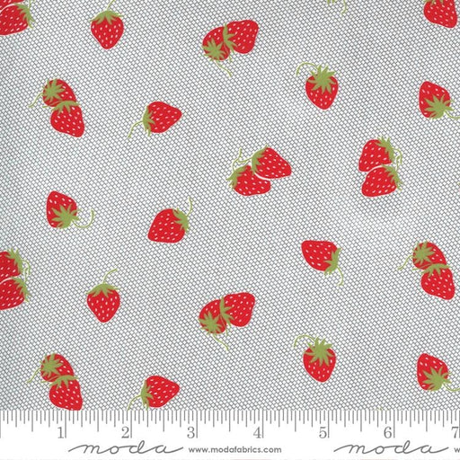 Sunday Stroll by Bonnie & Camille for Moda - Grey - strawberry clusters - 55223 17-Yardage - on the bolt-RebsFabStash