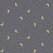 Noah's Ark - Per Yard - Dear Stella - Iron - Sky - DLT3545-Iron