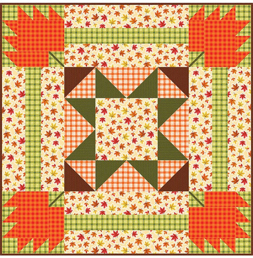 NEW! All Aboard - Quilt PATTERN - by Pine Tree Country Quilts - Features  Baby Safari Fabrics by Deborah Edwards for Northcott - PTN2918Default Title