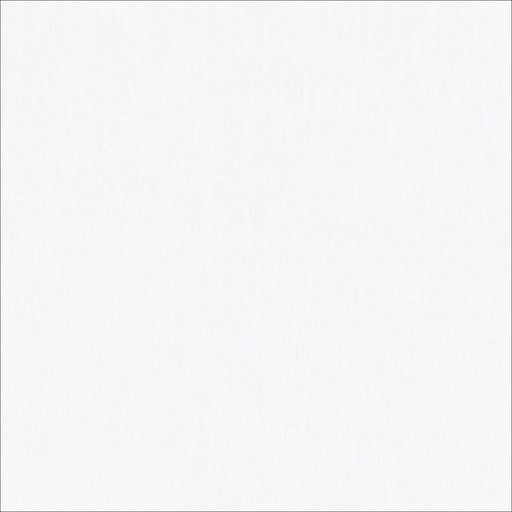 Premier Quilting Muslin - 45" White - per yard - EESchenck - High Thread Count - Cotton Sheeting - CL1PQM-WHI-Yardage - on the bolt-RebsFabStash