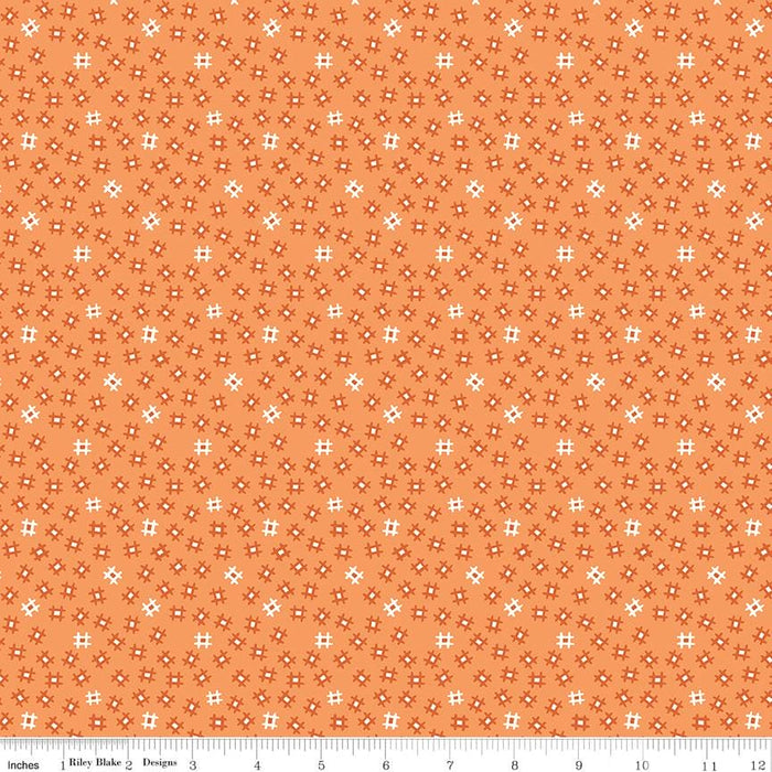 Lori Holt PRIM Collection - Per Yard - Prim Posy Daisy - Lori Holt of Bee in My Bonnet - Riley Blake Designs - C9702-DAISY - RebsFabStash