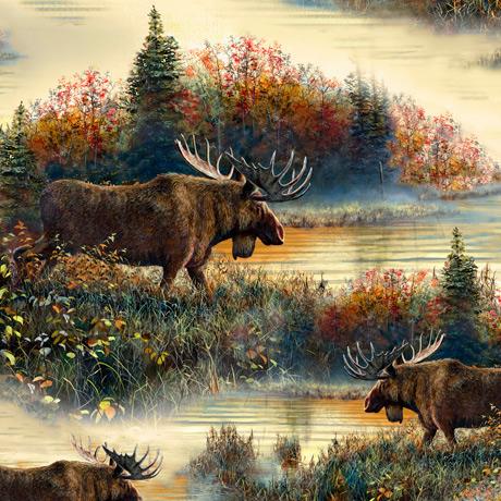 Moose Country - per yard - Jim Hansel - JQ Licensing - Quilting Treasures - Digital Print - Argyle - Brown - RebsFabStash