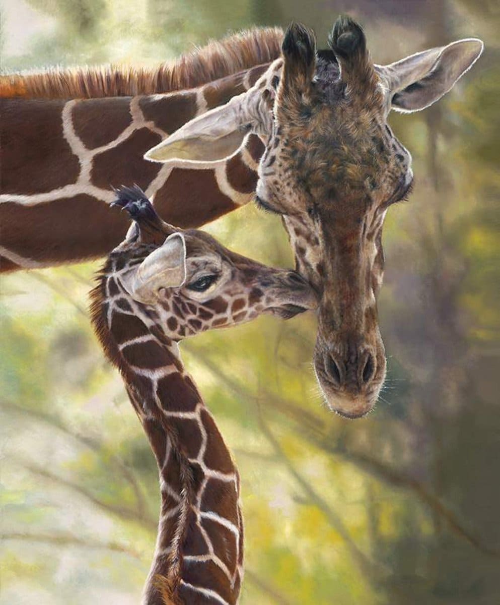 On Safari Per Panel Riley Blake Designs 36 Digital Giraffe Pane — Rebsfabstash