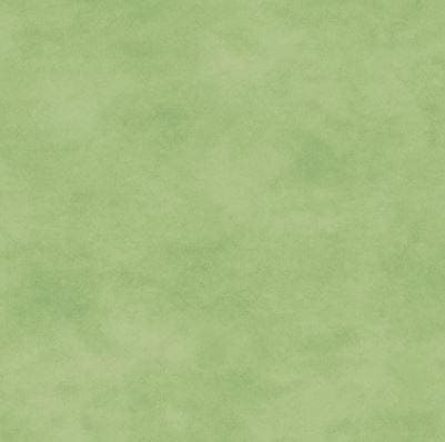 NEW! Shadow Play - per yard - blender - by Maywood Studio - Light Green Tonal - MAS513-G47 - RebsFabStash