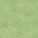 NEW! Shadow Play - per yard - blender - by Maywood Studio - Light Green Tonal - MAS513-G47 - RebsFabStash