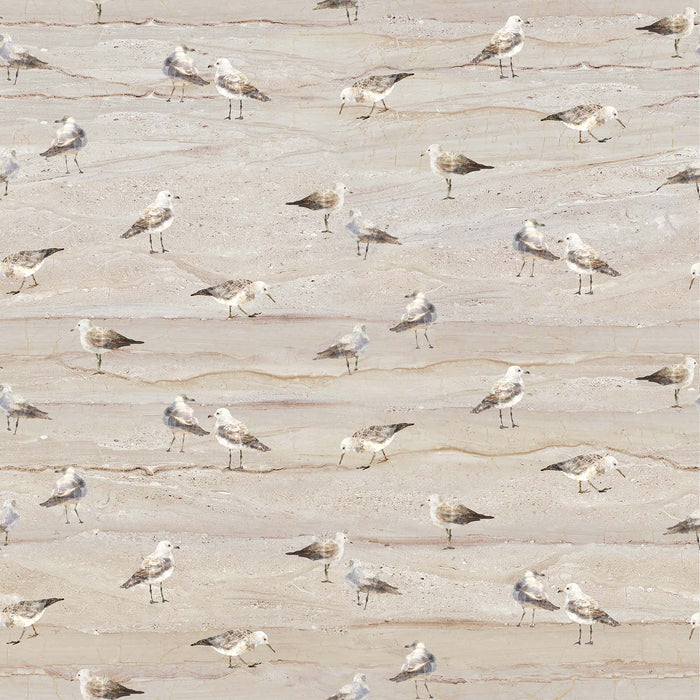 Swept Away - per yard - By Deborah Edwards and Melanie Samra for Northcott - Digital Print - Gulls on Sand - Grey - RebsFabStash