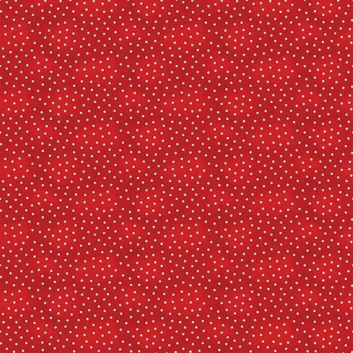 Painter's Palette - per yard - Janet Wecker Frisch- Riley Blake Designs - Painter's Halftone Dots - Tone on Tone dots on RED C8943 - RebsFabStash